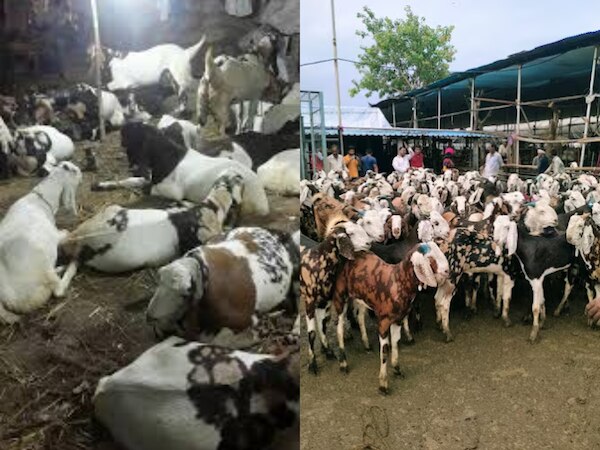 फाइल फोटो