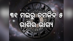 Venus Transit 2025: ୩୧ ମଇରେ ମେଷ ରାଶିକୁ ଚଳନ କରିବେ ଶୁକ୍ର, ଟଙ୍କା ଗଦିରେ ଶୋଇବେ ୫ ରାଶି 