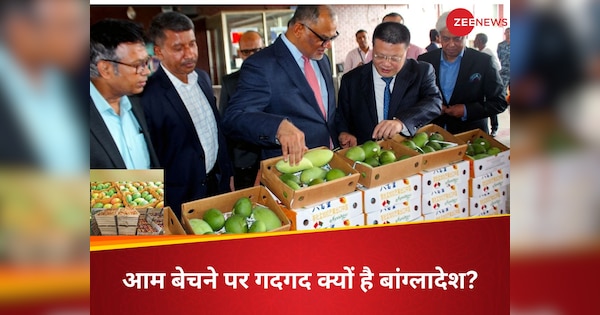 6 सालों तक नाक रगड़ने के बाद चीन को 'आम' बेच पाया बांग्लादेश, 'कटहल' के सहारे दोस्ती का पैमाना तय कर रहे मोहम्मद यूनुस?