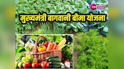 इन फसलों का कराएं बीमा, प्राकृतिक आपदा से नुकसान पर मिलता है मोटा पैसा