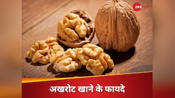 सुबह सिर्फ 1 भीगा अखरोट खाने से मिलते हैं 5 गजब के फायदे, हर उम्र के लिए है फायदेमंद