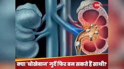 क्या खराब हो चुकी किडनी हो सकती हैं ठीक? गुर्दे दोबारा हेल्दी बनाने के लिए क्या करें