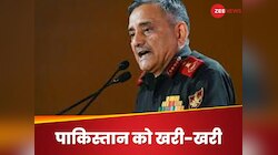 लक्ष्मण रेखा पार न करें...जब CDS ने भरे मंच से पाकिस्तान जनरल को सुनाई खरी-खरी