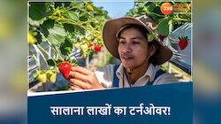 15 साल तक धीरे-धीरे टटोली खेती की नब्ज! अब स्ट्रॉबेरी की खेती से लाखों का टर्नओवर!