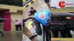 मुंबई में बारिश का मजा लेने गटर से बाहर निकला 6 फुट लंबा अजगर, देखने के लिए इकट्ठा हुई भीड़; रेस्कुअर ने यूं निकाला बाहर
