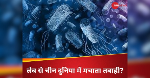 अरे बाप रे: अमेरिका के लैब में 2 चीनी खतरनाक जैविक फंगस की कर रहे थे तस्करी, एक बार फैलते ही मच जाती तबाही