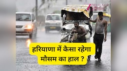 हरियाणा में इतने दिन जारी रहेगा सूर्यदेव का प्रकोप, फिर होगी झमाझम बारिश 