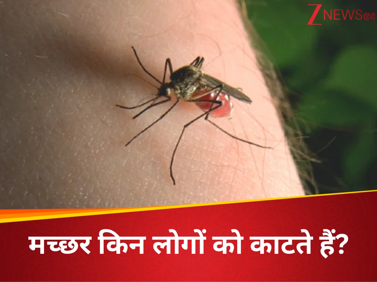 क्या आपको मच्छर ज्यादा काटते हैं? जानिए इसके पीछे की वैज्ञानिक वजह
