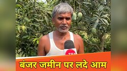 जिस जमीन पर नहीं हो रही थी 'धान-गेंहू' की फसल, उस पर अनुपम मिश्रा ने उगा दिया आम