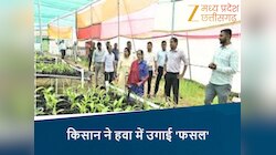 छत्तीसगढ़ के किसान ने हवा में उगाई फसल, खेती का ये नजारा देख हर कोई हैरान