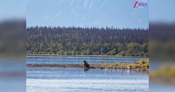 दुनिया की आधी झीलें तो इस एक देश में ही हैं मौजूद, जानें- अन्य देशों में कितनी?