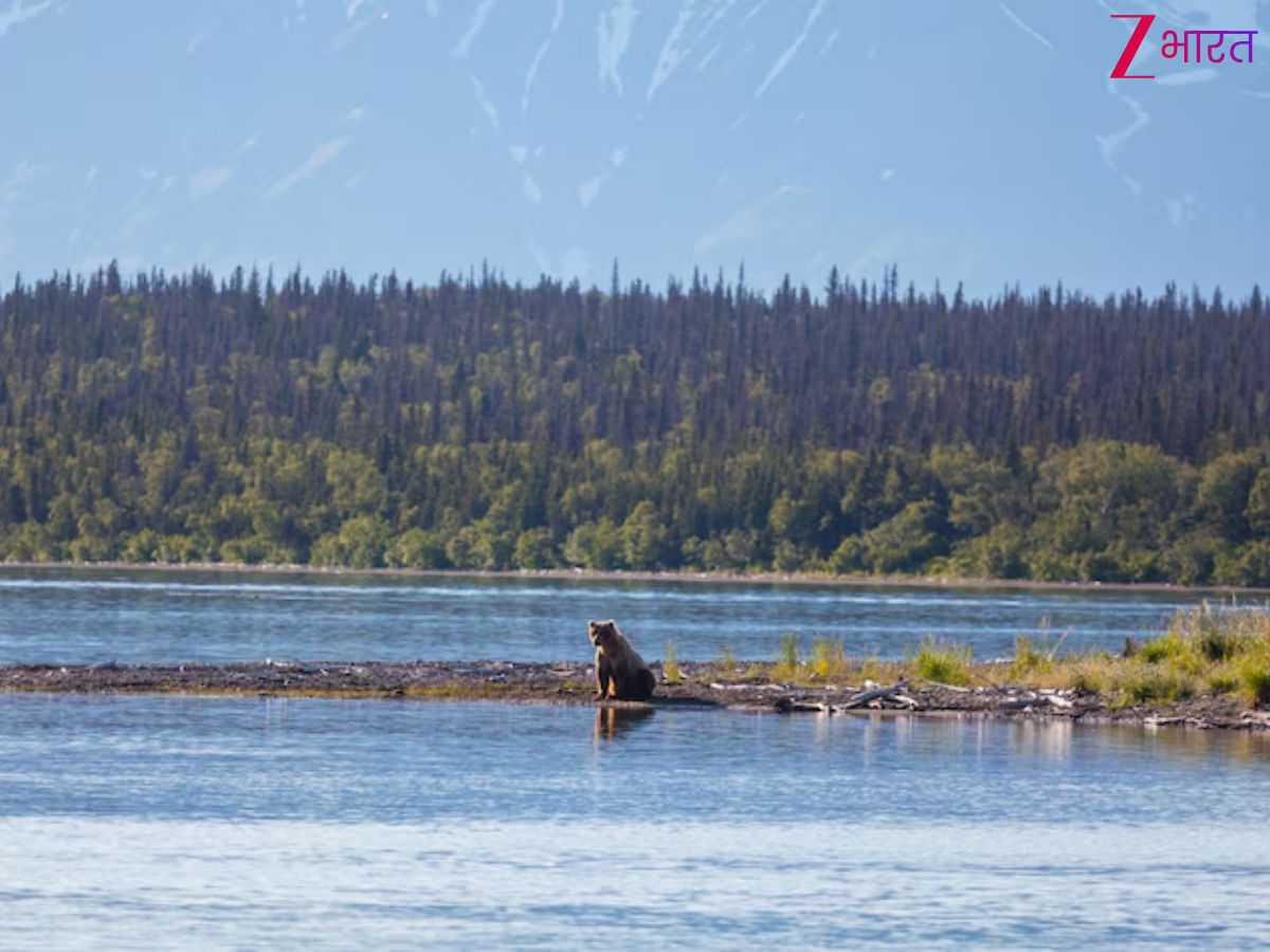 दुनिया की आधी झीलें तो इस एक देश में ही हैं मौजूद, जानें- अन्य देशों में कितनी?
