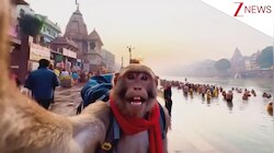 हरिद्वार पहुंचा AI से बना बंदर, आरती से लेकर गंगा स्नान तक कैमरे में कैद की खूबसूरत तस्वीरें; देख मुस्कुरा देंगे आप