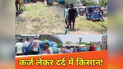 कर्ज लेकर खेती.. मुनाफा इतना कम कि घर चलाना मुश्किल, फसल को फेंकने पर मजबूर किसान