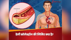 दिनभर में डाइट के जरिए कोलेस्ट्रॉल कितना खाना चाहिए? डेली लिमिट की नॉलेज बचाएगी जान!