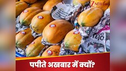 पपीते को अखबार में लपेटकर क्यों बेचा जाता है? वजह जानकर हैरान रह जाएंगे आप