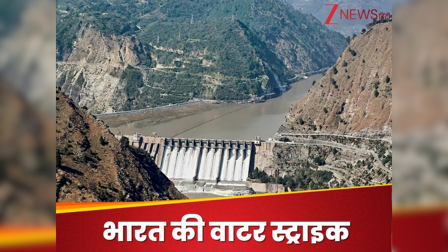 पानी की एक-एक बूंद को तरसेगा पाकिस्तान, भारत के 113 किमी लंबे हथियार से छटपटाएगा पड़ोसी मुल्क
