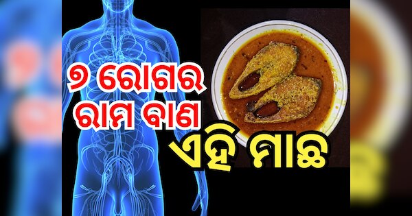 This fish very beneficial for 4 diseases including heart attack stroke ...
