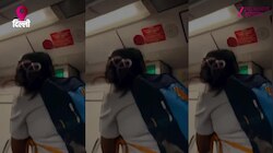 Delhi Metro Video: सांप-सांप के शोर पर दिल्ली मेट्रो में मची चीख-पुकार, चेक करने पर निकली छिपकली, देखें वीडियो 