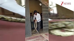 पुराने खंडहर में छिप बैठे थे 2 विशालकाय अजगर, रेस्कुअर पहुंचा तो देखने के लिए उमड़ पड़ी गांववालों की भीड़; VIRAL