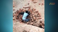 तेंदुए को मिला 'बाहुबली'! हमला किया तो युवक ने खूंखार को पांच मिनट दबोचे रखा, वीडियो देख रह जाएंगे हैरान