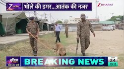 अमरनाथ यात्रा पर आतंकी साया! चप्पे-चप्पे पर तैनात हैं K9 डॉग स्क्वाड और कमांडो; देखिए VIDEO