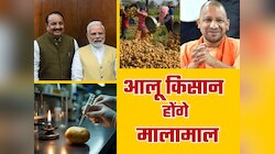 दक्षिण एशिया का आलू किंग बनेगा यूपी! इस जिले में बनेगा अंतर्राष्ट्रीय आलू केंद्र