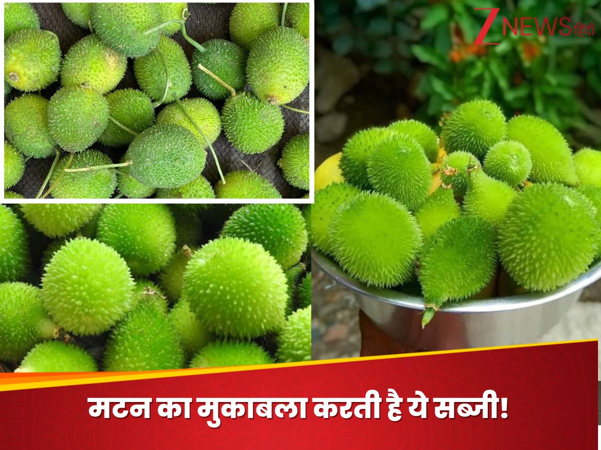 Spiny Guard know the most powerful vegetable kakora or spiny guard is better than ...