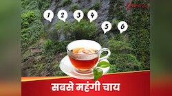1kg चाय की कीमत 9 करोड़, इस पत्ती के दुनिया में सिर्फ 6 पेड़, हो रखा है इंश्योरेंस