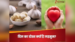 जिस लहसुन की गंध से मन को होती है कोफ्त, वो दिल के लिए कैसे बन जाता है दवा?
