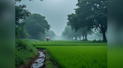बिहार में अगले तीन दिनों तक बहुत भारी बारिश का अलर्ट,40 KM की रफ्तार से चलेंगी हवाएं