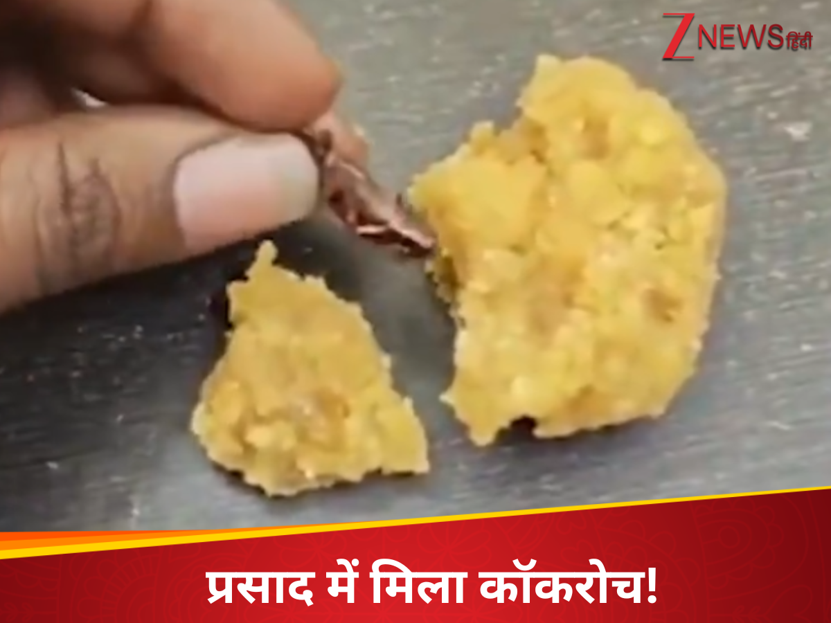Cockroach Temple Andhra pradesh news Srisailam temple laddu Claim of finding cockroaches ...
