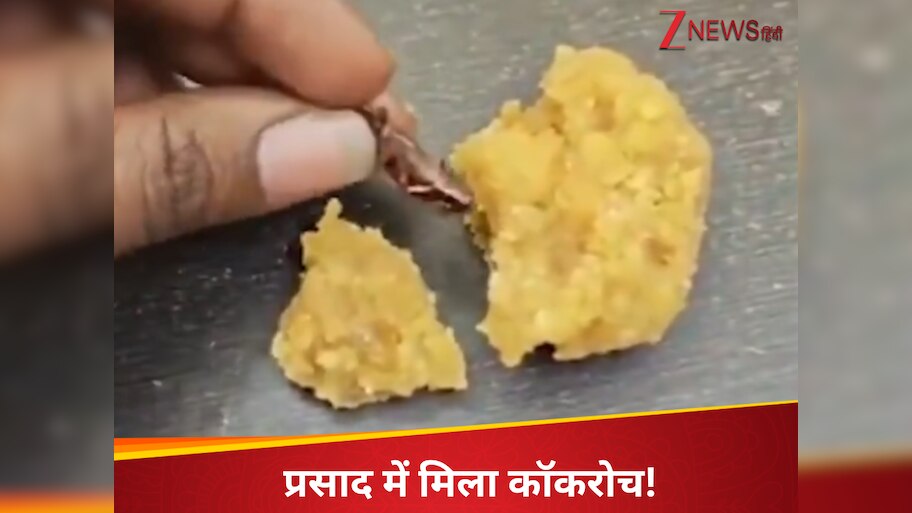 Andhra pradesh news Srisailam temple laddu Claim of finding cockroaches ...