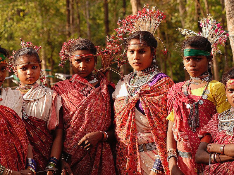 mp and chhattisgarh gond tribes son in law drinks pig blood and perform ...