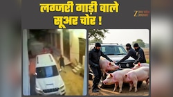 20 लाख की स्कॉर्पियो में सूअर डालकर भागे, चोरी का CCTV वीडियो देख पुलिस भी हैरान