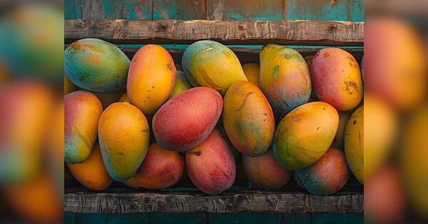 दुनिया में सबसे ज्यादा आम बेचने वाले 5 देशों में भारत भी शामिल, जानें- किन देशों में करता है एक्सपोर्ट