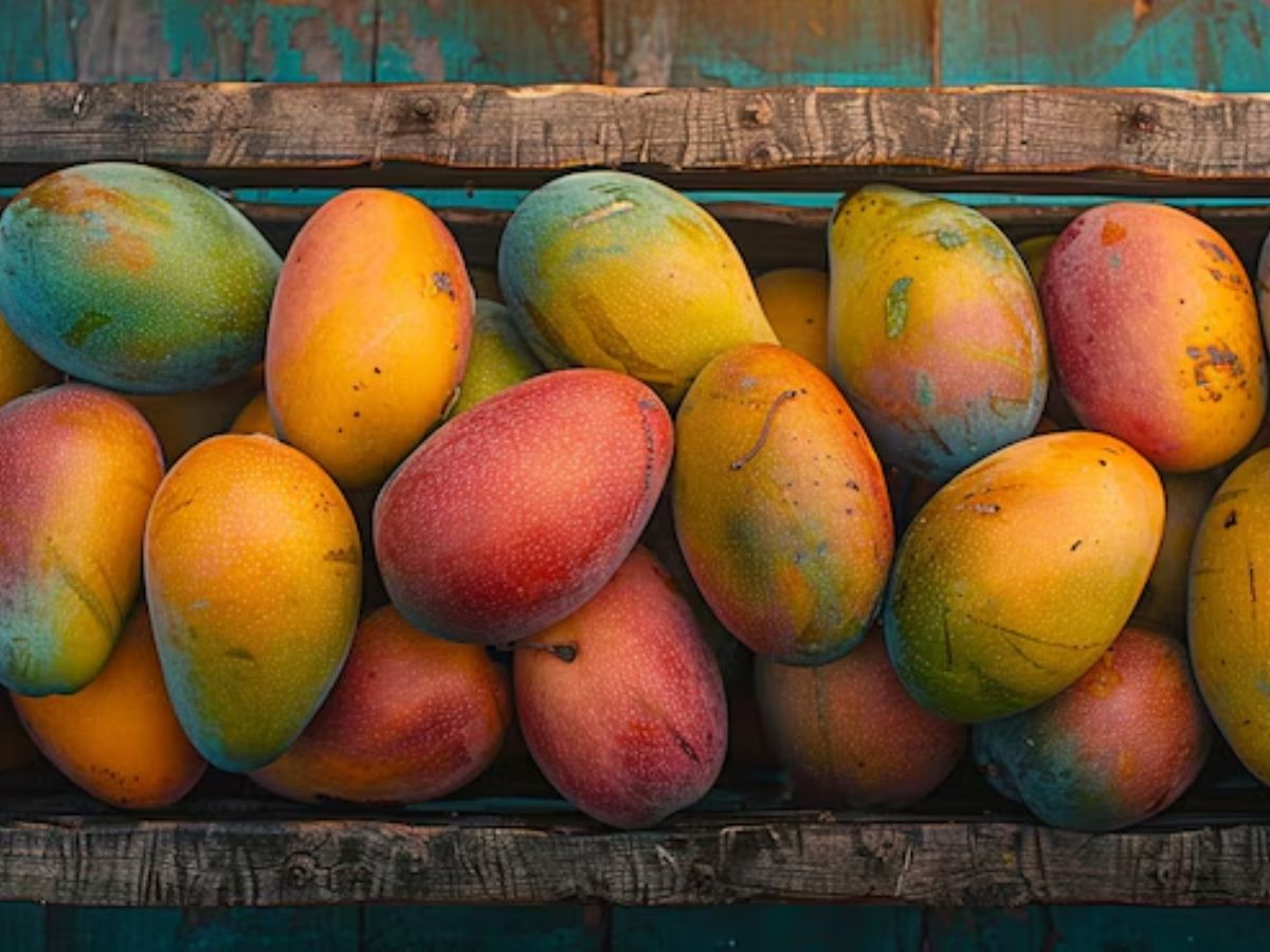 दुनिया में सबसे ज्यादा आम बेचने वाले 5 देशों में भारत भी शामिल, जानें- किन देशों में करता है एक्सपोर्ट