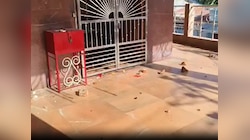 बिहार के तीन जिलों में मुहर्रम जुलूस के दौरान हिंसा, पथराव-फायरिंग से दहशत, कई घायल