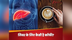 कॉफी आपके लिवर के लिए अच्छी है या नहीं? एक भी घूंट लेने से पहलें जानें ये सच