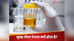 सुबह पीला पेशाब क्यों होता है? जानें इसके 3 बड़े कारण