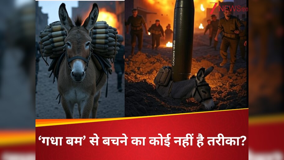 What is Donkey bomb kills soldier in Colombia Here what happened know ...