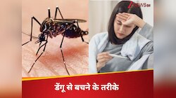 बारिश में नहीं होगा डेंगू का खतरा, प्लेटलेट्स बढ़ाने के लिए खाएं ये 4 चीजें