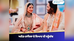ਅਨੰਤ-ਰਾਧਿਕਾ ਦੇ ਵਿਆਹ ਨੇ ਭਾਰਤ ਨੂੰ ਵਿਸ਼ਵ ਅਧਿਆਤਮਿਕ ਨਕਸ਼ੇ 'ਤੇ ਮੁੜ ਸਥਾਪਿਤ ਕੀਤਾ