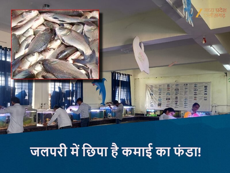 mp shahdol pandit shambhu nath shukla university providing bsc phd ...