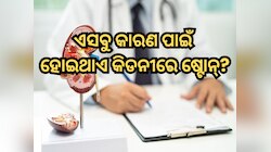 କେଉଁ ସବୁ କାରଣ ପାଇଁ ହୋଇଥାଏ କିଡନୀରେ ଷ୍ଟୋନ୍?
