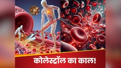बादाम-पिस्ता नहीं ये ड्राईफ्रूट हैं कोलेस्ट्रॉल का काल! हार्ट हेल्थ के लिए है बेहतर