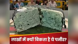 दूध को सड़ाते हैं 10 महीने, फिर काई जमने पर बन जाती है दुनिया की सबसे महंगी पनीर