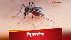 यहां तेजी से बढ़ रहा डेंगू का खतरा, अब तक मरीजों की तादाद 14 हजार पार