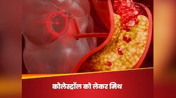कोलेस्ट्रॉल के बारे में इन अफवाहों पर न करें यकीन, दिल की सेहत के लिए सच जानना जरूरी