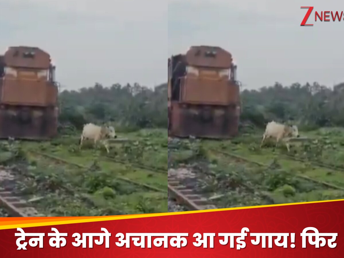 Train cow viral video animal on railway track driver slows down to save ...